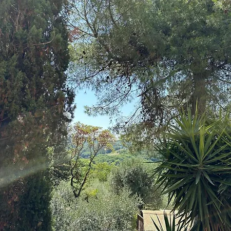 Orizzonti Trebbiantico